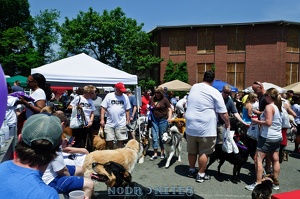 005646 2012 04 29 NoDa Nites
