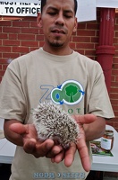 008053 2012 06 23 NoDa Nites