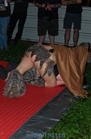 008550 2012 06 23 NoDa Nites