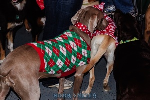 009023 2012 12 08 NoDa Nites