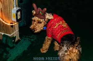009028 2012 12 08 NoDa Nites