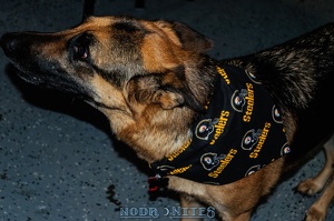 009032 2012 12 08 NoDa Nites