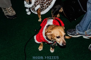 009034 2012 12 08 NoDa Nites