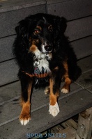 009039 2012 12 08 NoDa Nites