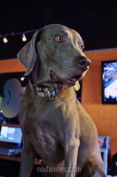 004258 2012 03 17 NoDa Nites