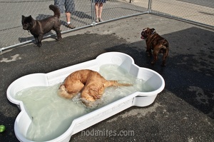 004305 2012 03 17 NoDa Nites