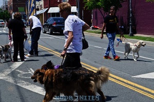 005675 2012 04 29 NoDa Nites