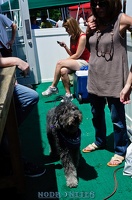 005730 2012 04 29 NoDa Nites