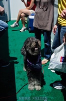 005731 2012 04 29 NoDa Nites