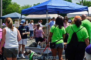 005770 2012 04 29 NoDa Nites